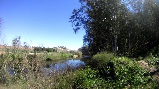 istock View of a river with a village background 516389566