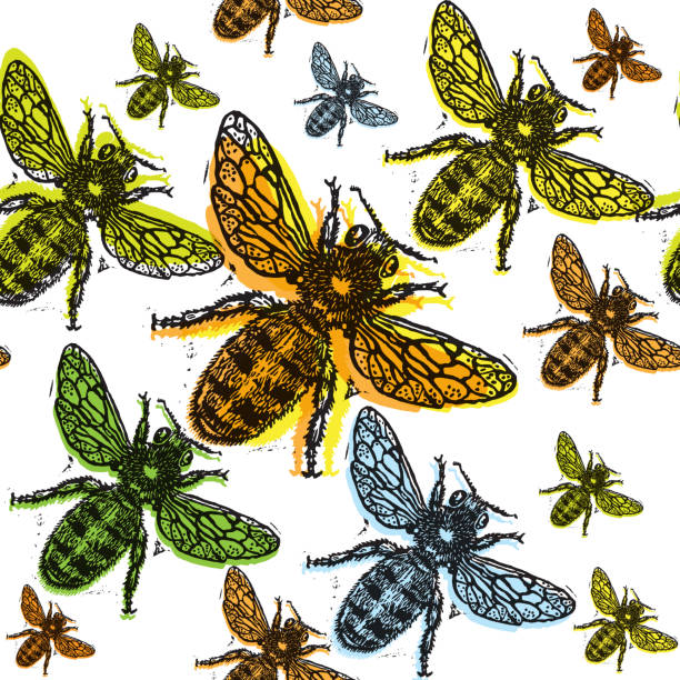 ilustrações de stock, clip art, desenhos animados e ícones de vetor abelha belo sem costura padrão. - anumal