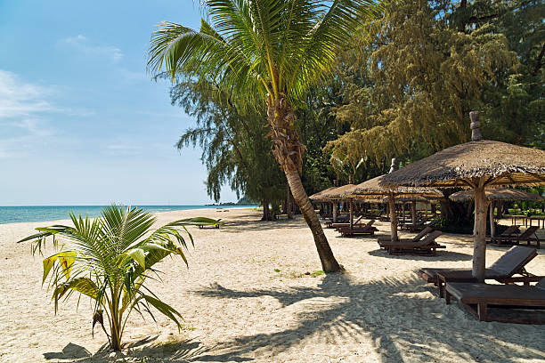 istock Wooden chairs and umbrellas on white sand beach 516390242