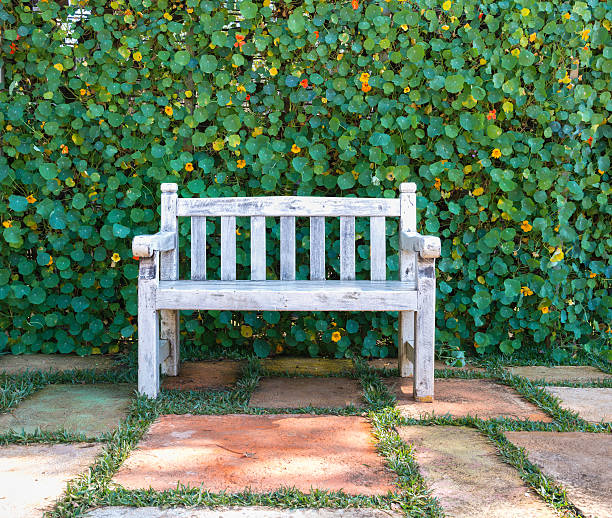 istock Wooden chairs in the backyard 516390358