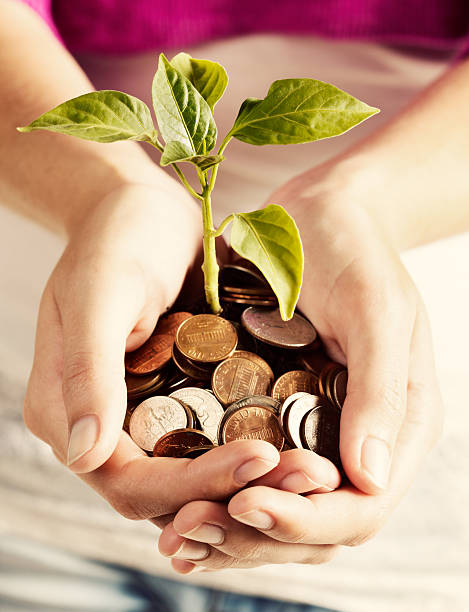 istock Look after your money and it will grow 516391057