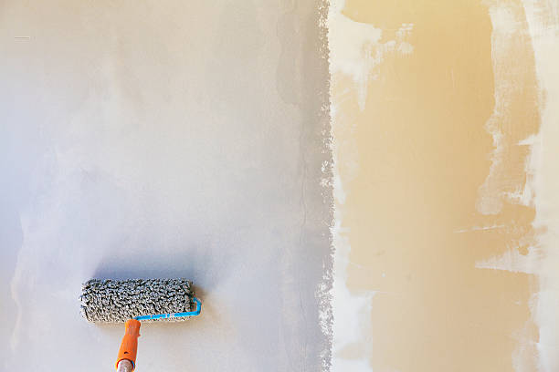 istock Painting a wall in gray 516391413
