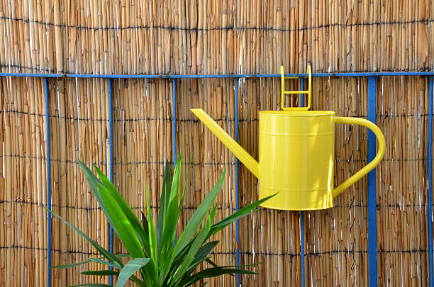 istock Yellow watering can hang on balcony railing next to plant 516394322