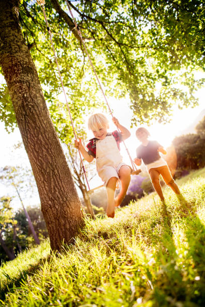 istock Lovely boy pushing his little laughing brother on swing 516394422