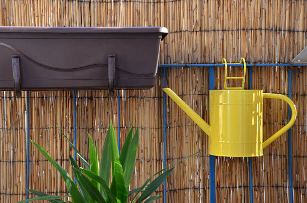 istock Watering can hang on balcony railing, bamboo fence in background 516394802