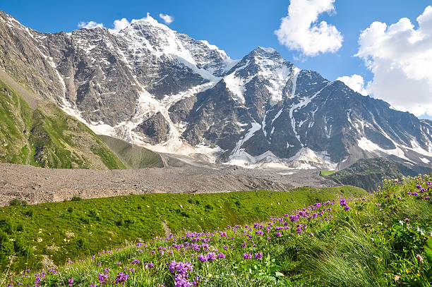 istock High mountain with glacier, below the flower meadow 516394954