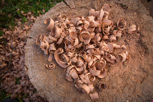 дерево опилки - sawdust shavings wood chip pine стоковые фото и изображения