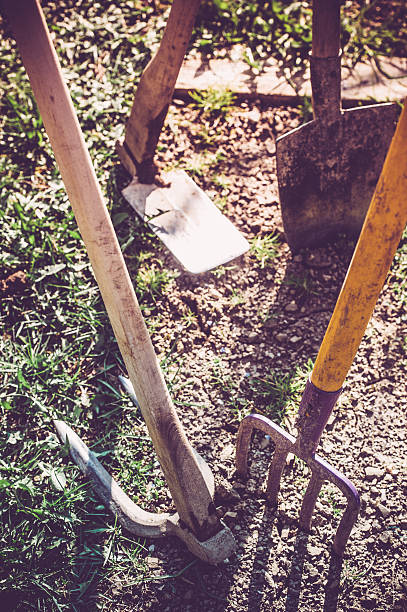 istock Garden Tools in the Garden 516396458