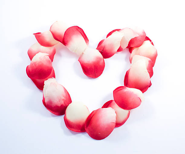istock Heart made of rose petals 516398381