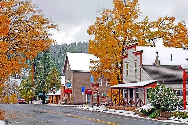 istock Markleeville, California After a Snowstorm 516398406