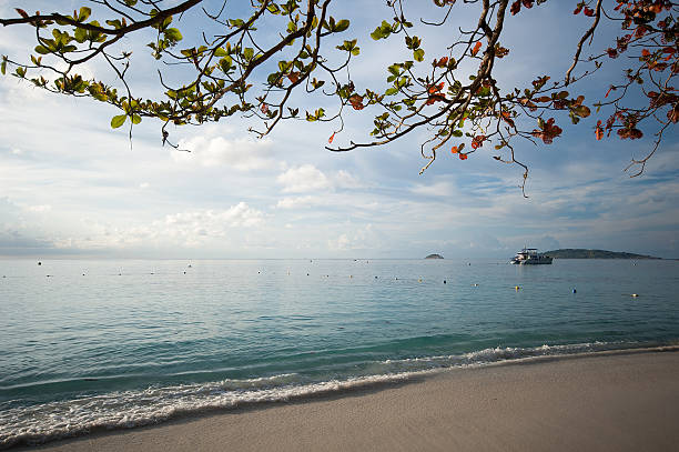 istock Beach at Similan island in the morning, Thailand 516398865