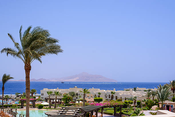 istock View over seaside apartments at a tropical resort 516400206