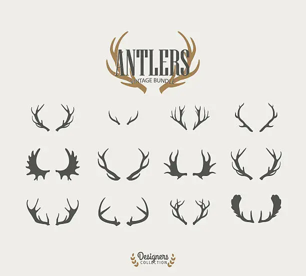 Vector illustration of Antler collection