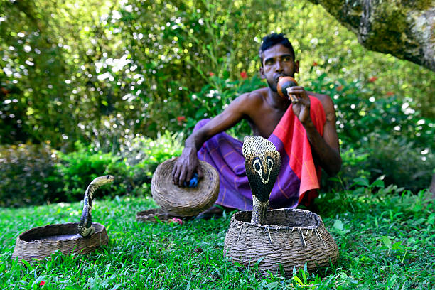 Indian snake charmer and dancing cobra