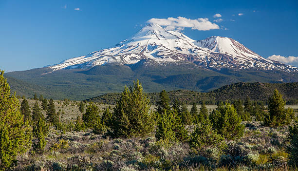 istock Shasta National Forest - Mount Shasta 516408953