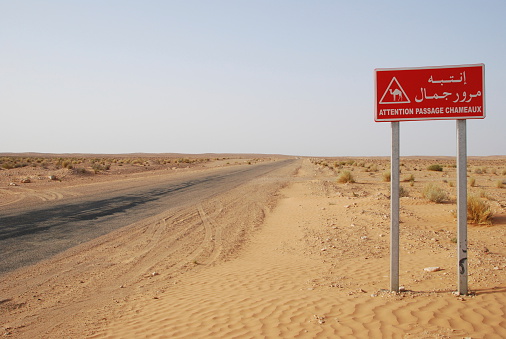 A road sign in the middle of Safara desert, warning the drivers about the camels crossing