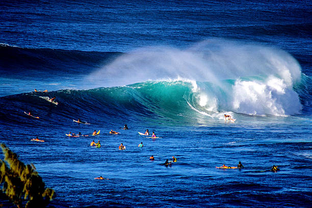 surf al tramonto spiaggia - north shore hawaii islands oahu island foto e immagini stock