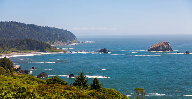 istock Redwood National and State Parks, California 516410363