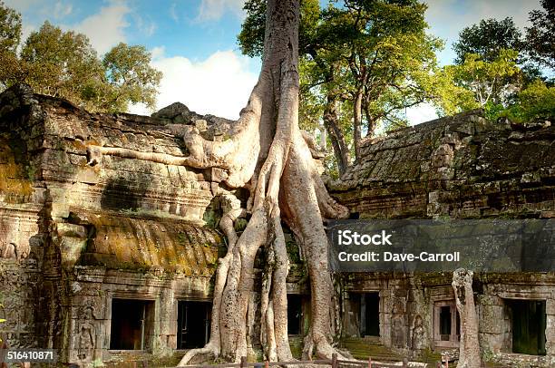 Ta Prohm Cambodia Stock Photo - Download Image Now - Ta Prohm Temple, Ancient, Archaeology