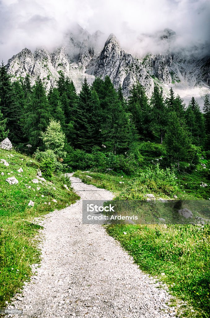 Orobie Alpi, il sentiero nella foresta sotto un cielo nuvoloso - Foto stock royalty-free di Albero