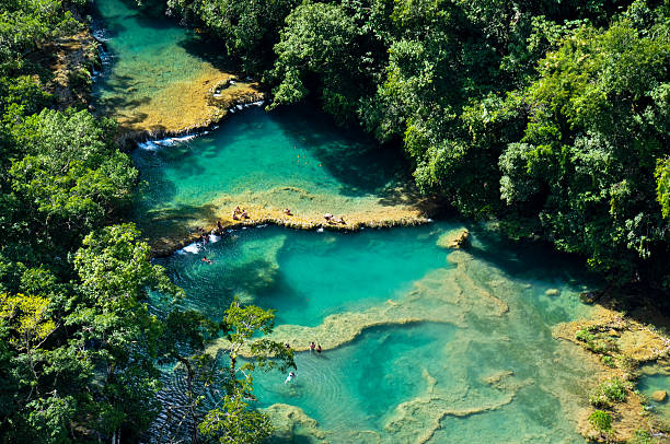 semuc champey 자연스럽다 수영장, 콰테말라 - dirt road tranquil scene blue travel destinations 뉴스 사진 이미지