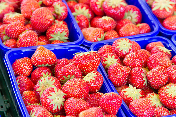 istock Fresh strawberries at the market 516412579