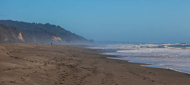 istock Redwood National and State Parks, California - BEACH 516412621