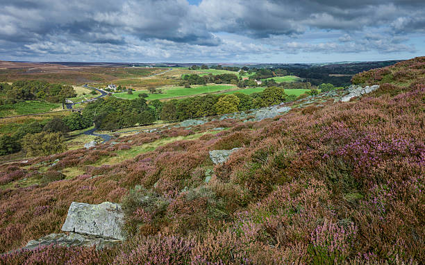 istock North York Moors in autumn, Goathland, Yorkshire, UK. 516412979