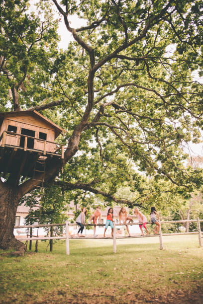 istock Children on a fence underneath a treehouse in a park 516414154