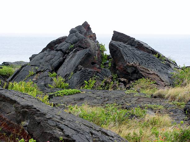 istock Cold volcanic flow in detail. Hawaii 516414324