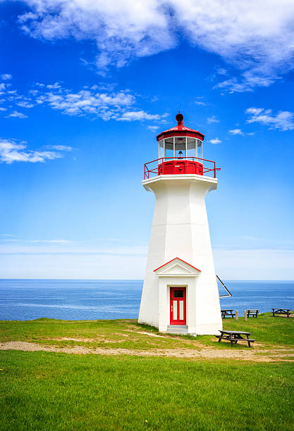 istock Lighthouse at Cap Gaspe, Forillon National Park, Canada 516414461