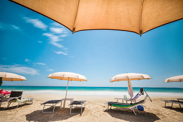 Lounge chairs and umbrella on beach stock photo