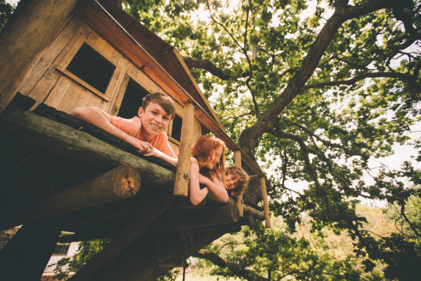 Construction of wooden house in the woods