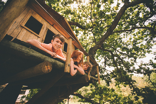 Portrait of a boy smiling at the camera while playing with two friends in rustic wooden treehouse in the branches of a big tree with healthy green leaves