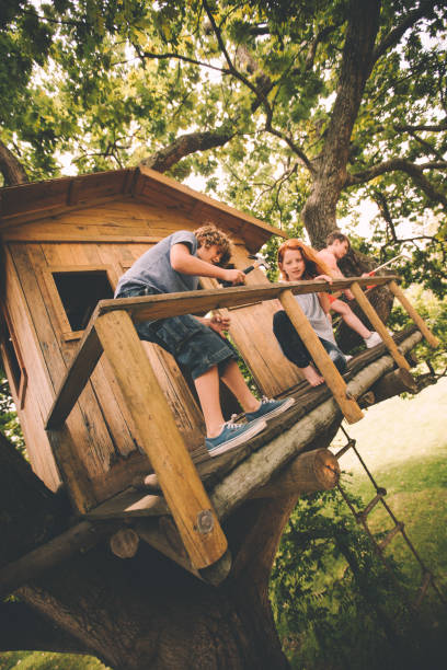 istock Friends building a treehouse together on a summer day 516415552