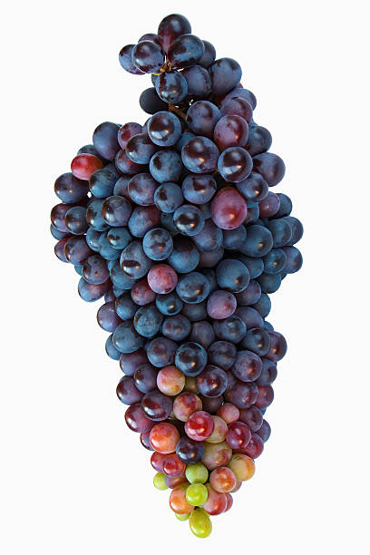 istock Bunch of grapes isolated on white background 516416322