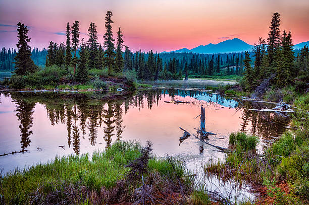 istock Lake along Nabsna Road 516418586