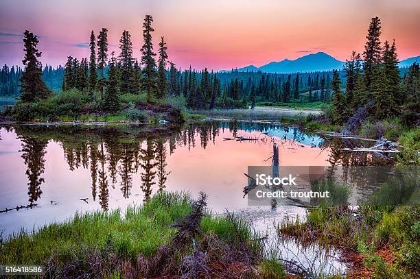 Lake Along Nabsna Road Stock Photo - Download Image Now - Alaska - US State, Wrangell-St. Elias National Park, Sunset