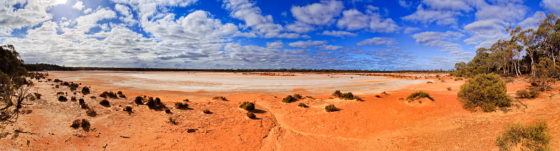 wide open plain view of dry solt covered red soil evaporated lake in Western Australia. Arid outback surrounded by eucalyptus forests.