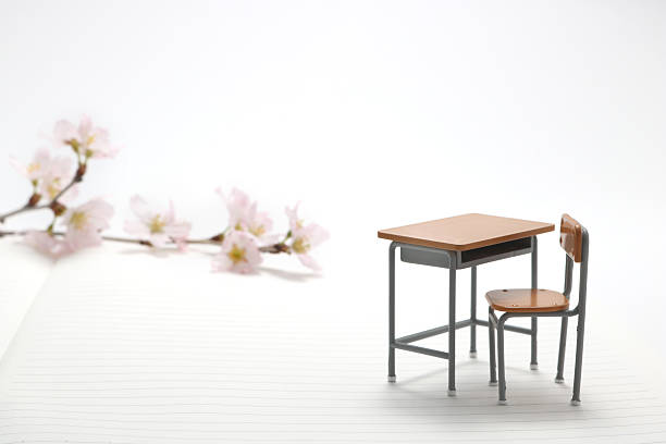 Study desk and cherry blossoms. Study desk and cherry blossoms on the notebook. high school enrollment stock pictures, royalty-free photos & images