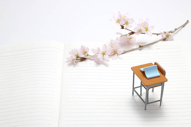 Study desk, blue book and cherry blossoms. Study desk, blue book and cherry blossoms on the notebook. high school enrollment stock pictures, royalty-free photos & images
