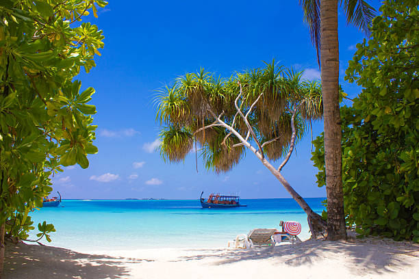 Postcard from the Maldives - North Ari Atolls stock photo