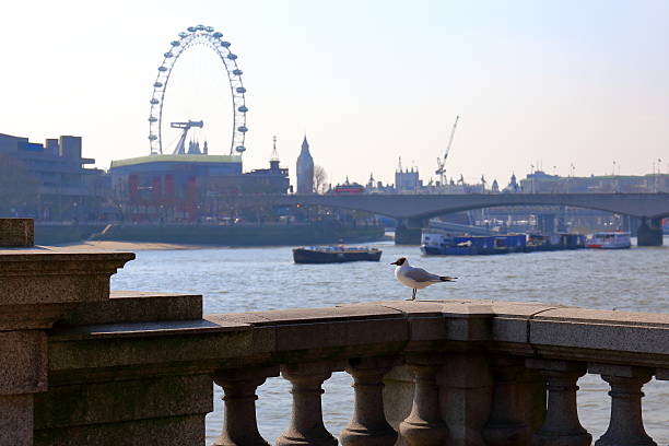 istock Thames embankment in spring, London 516421652