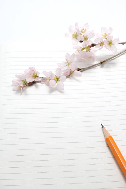 Cherry blossoms and writing utensils. Cherry blossoms and writing utensils on the notebook. high school enrollment stock pictures, royalty-free photos & images