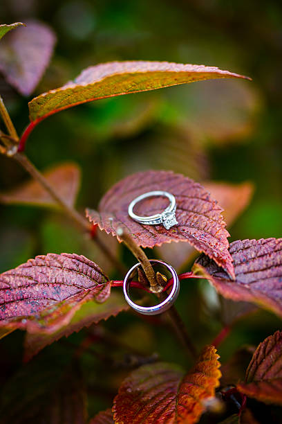 istock Wedding Rings Resting on Autumn Leaves 516424350