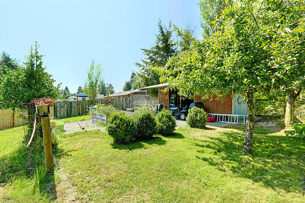 istock Countryside house backyard with shed and garden 516424605