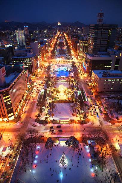 istock The new Japanese three big night view 516425320