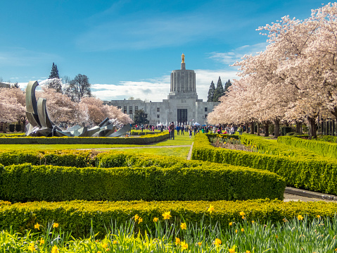 Salem, Oregon, USA - March 19, 2016: The Oregon State Capitol viewed looking across the Capitol Mall. This photo taken during the Cherry Blossom Day at the Oregon State Capitol. This free public event was on Saturday, March 19, 2016. Activities were outdoors in the Capitol Mall with the Blooming Cherry Trees and inside the Capitol building. People can be seen enjoying the beautiful spring day and the events.