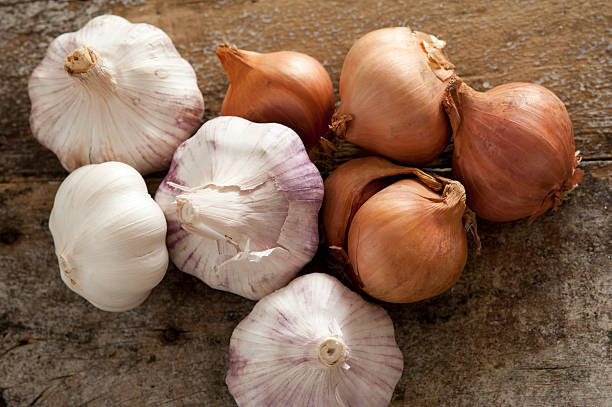 Fresh raw whole garlic bulbs and onions Fresh raw whole garlic bulbs and brown onions, both of the Allium family, on a rustic wooden table viewed from overhead garlic stock pictures, royalty-free photos & images