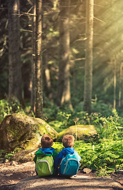 Brothers hiking and resting in a forest.